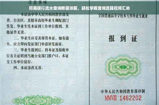 招商银行流水查询教程详解，轻松掌握查询流程视频汇总