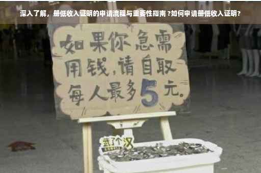 深入了解，册低收入证明的申请流程与重要性指南 ?如何申请册低收入证明?