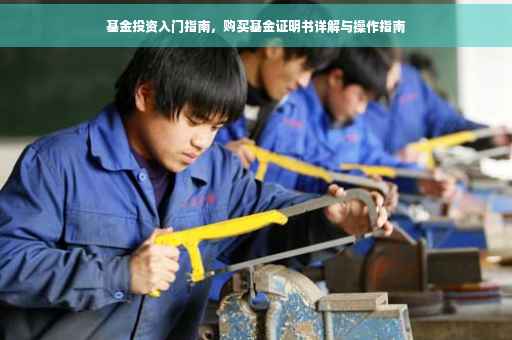 基金投资入门指南，购买基金证明书详解与操作指南