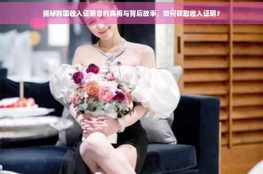 揭秘韩国收入证明章的真相与背后故事，如何获取收入证明？