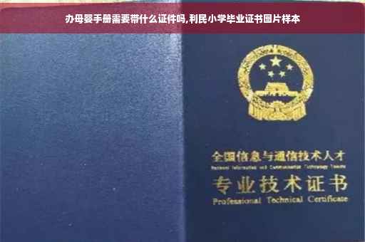 办母婴手册需要带什么证件吗,利民小学毕业证书图片样本