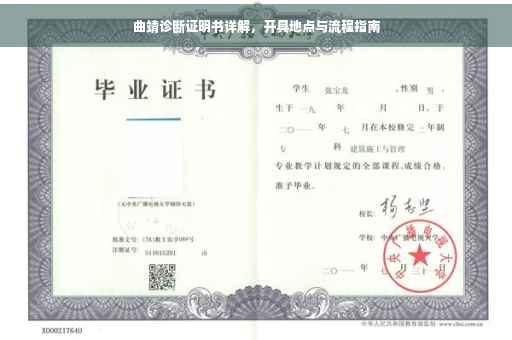 曲靖诊断证明书详解，开具地点与流程指南