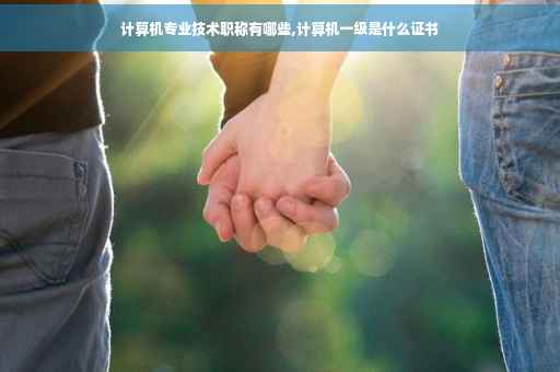计算机专业技术职称有哪些,计算机一级是什么证书 计算机专业技术职称有哪些,计算机一级是什么证书