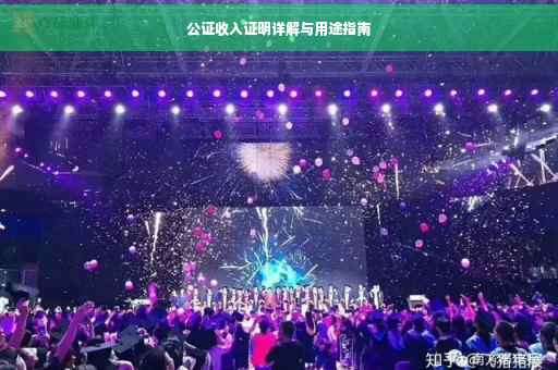 公证收入证明详解与用途指南