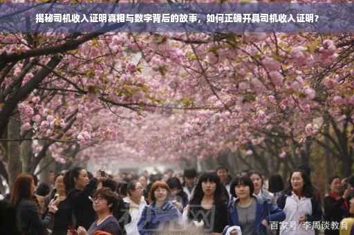 揭秘司机收入证明真相与数字背后的故事，如何正确开具司机收入证明？