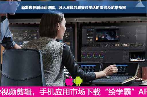 新加坡在职证明详解，收入与税务政策对生活的影响及范本指南
