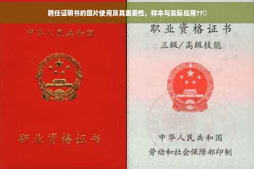 聘任证明书的图片使用及其重要性，样本与实际应用??️
