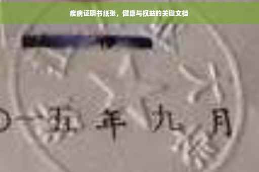 疾病证明书纸张，健康与权益的关键文档