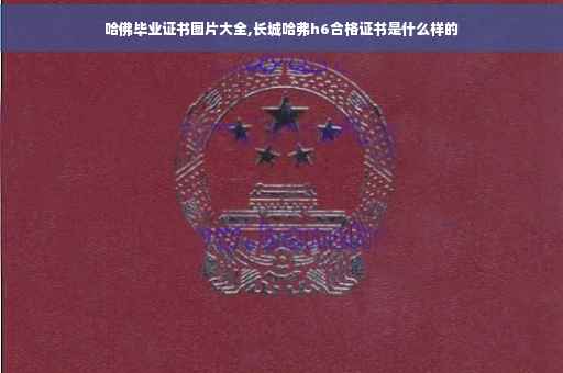 哈佛毕业证书图片大全,长城哈弗h6合格证书是什么样的