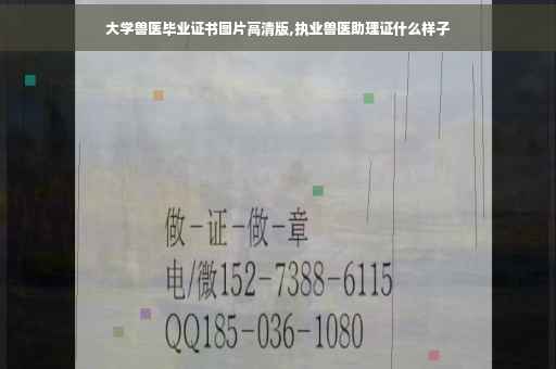 大学兽医毕业证书图片高清版,执业兽医助理证什么样子