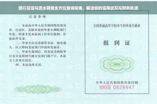 银行征信与流水明细全方位查询指南，解读你的信用状况与财务轨迹