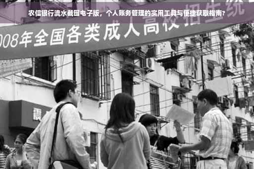 农信银行流水截图电子版，个人账务管理的实用工具与便捷获取指南?