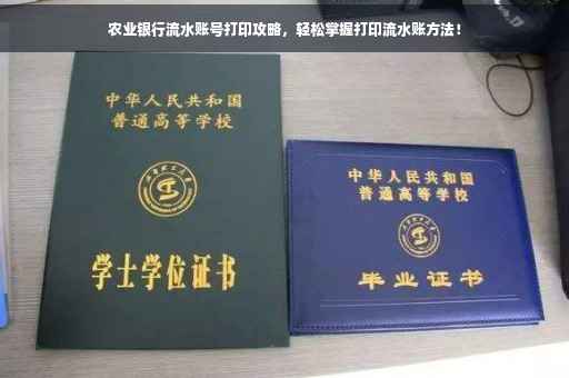 农业银行流水账号打印攻略，轻松掌握打印流水账方法！