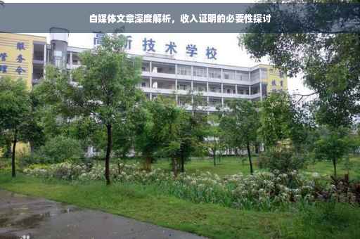 自媒体文章深度解析，收入证明的必要性探讨