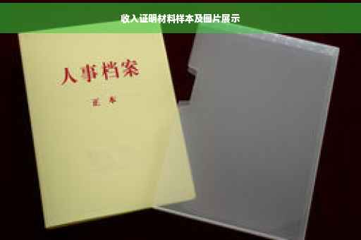 收入证明材料样本及图片展示