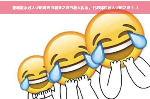 兼职流水收入证明与自由职业之路的收入探索，开启你的收入证明之路 ?⚡️
