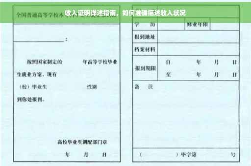 收入证明详述指南，如何准确描述收入状况