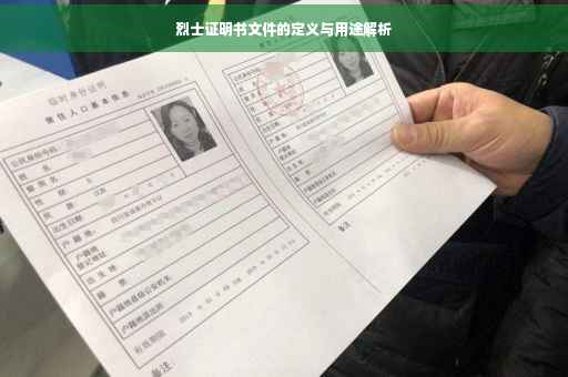 烈士证明书文件的定义与用途解析