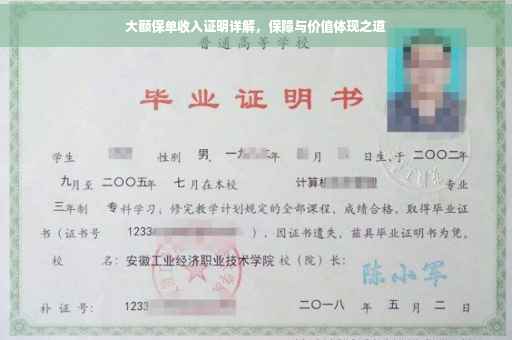 大额保单收入证明详解，保障与价值体现之道