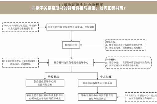 非亲子关系证明书的背后真相与探索，如何正确书写？