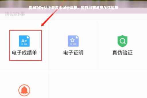 揭秘银行私下查流水记录真相，操作细节与安全性解析