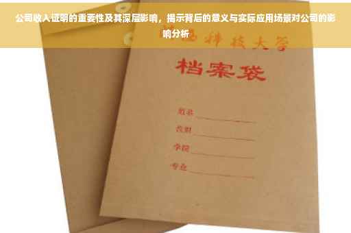 公司收入证明的重要性及其深层影响，揭示背后的意义与实际应用场景对公司的影响分析