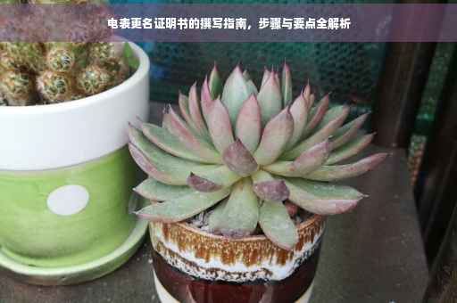 电表更名证明书的撰写指南，步骤与要点全解析