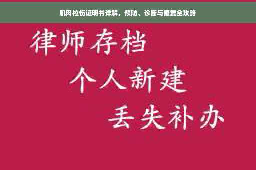 肌肉拉伤证明书详解，预防、诊断与康复全攻略
