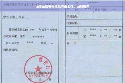 保修证明书模板及其重要性，图解指南