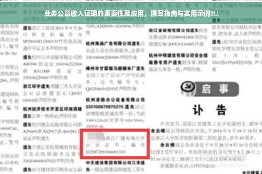 业务公章收入证明的重要性及应用，撰写指南与实用示例?✨