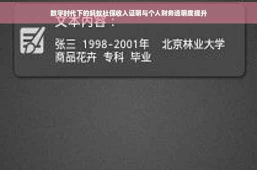 数字时代下的蚂蚁社保收入证明与个人财务透明度提升