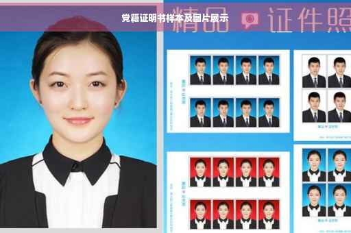 党籍证明书样本及图片展示