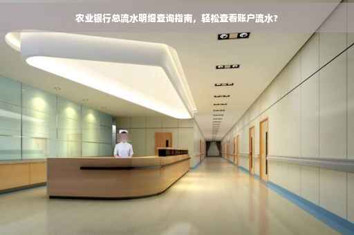 农业银行总流水明细查询指南，轻松查看账户流水?