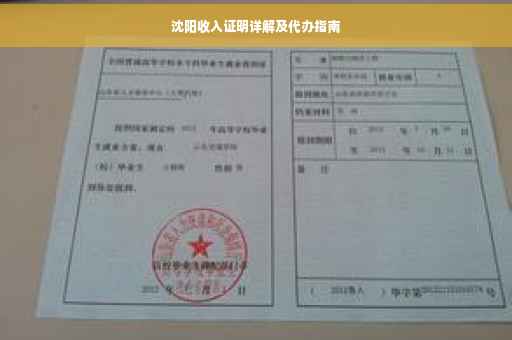 沈阳收入证明详解及代办指南