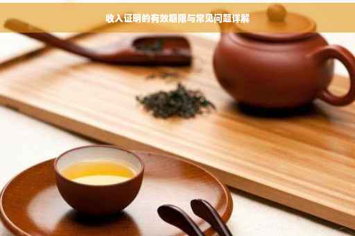 收入证明的有效期限与常见问题详解