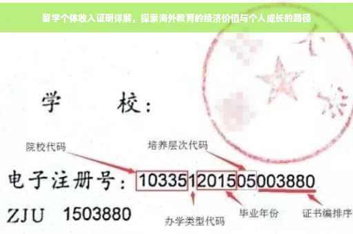 留学个体收入证明详解，探索海外教育的经济价值与个人成长的路径