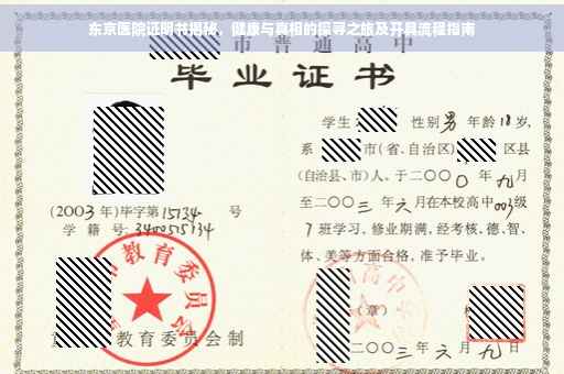 东京医院证明书揭秘，健康与真相的探寻之旅及开具流程指南