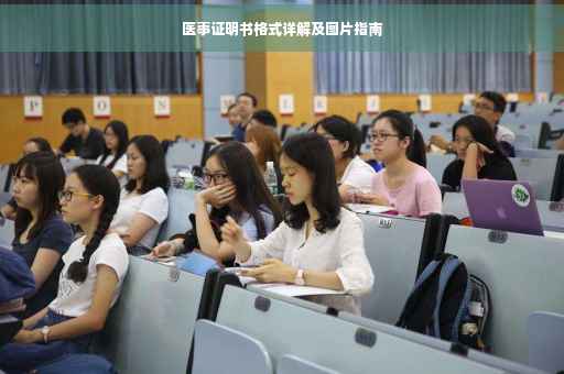 医事证明书格式详解及图片指南