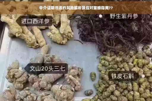 中介证明书违约风险解析及应对策略指南??