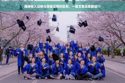 揭秘收入证明与现金证明的区别，一篇文章深度解读??