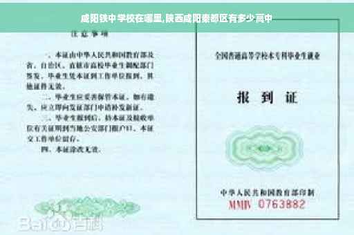 咸阳铁中学校在哪里,陕西咸阳秦都区有多少高中