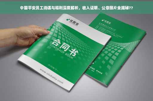 中国平安员工待遇与福利深度解析，收入证明、公章图片全揭秘??