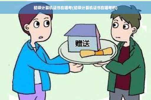 初级计算机证书在哪考(初级计算机证书在哪考的)