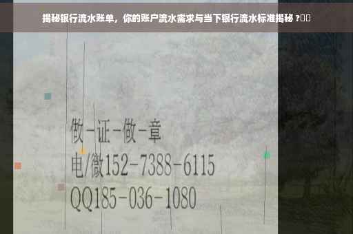 揭秘银行流水账单，你的账户流水需求与当下银行流水标准揭秘 ?⚡️