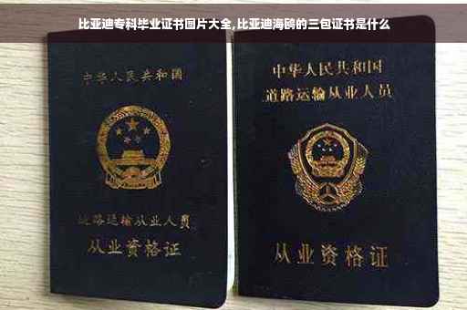 比亚迪专科毕业证书图片大全,比亚迪海鸥的三包证书是什么