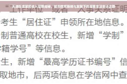 天津街道居民收入证明揭秘，城市微观脉络与发展下的居民生活变迁之路