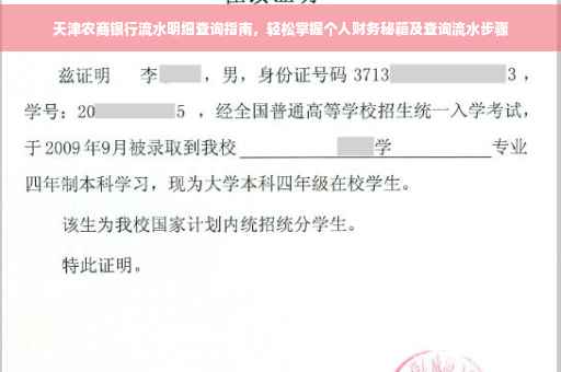天津农商银行流水明细查询指南，轻松掌握个人财务秘籍及查询流水步骤