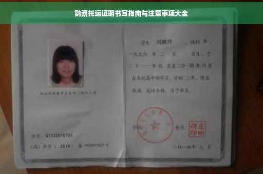 鹦鹉托运证明书写指南与注意事项大全