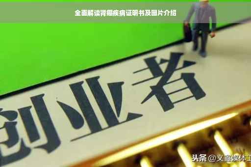全面解读肾癌疾病证明书及图片介绍