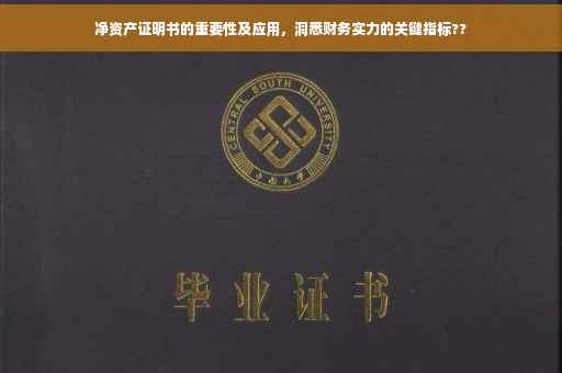 净资产证明书的重要性及应用，洞悉财务实力的关键指标??